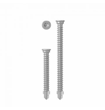 AnchorMark Decking Screw A4 316 S2 TTM/BiMetal (price per box)