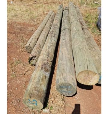 Round Treated Pine Pole 175x200mm (Diameter) (price per lineal metre)